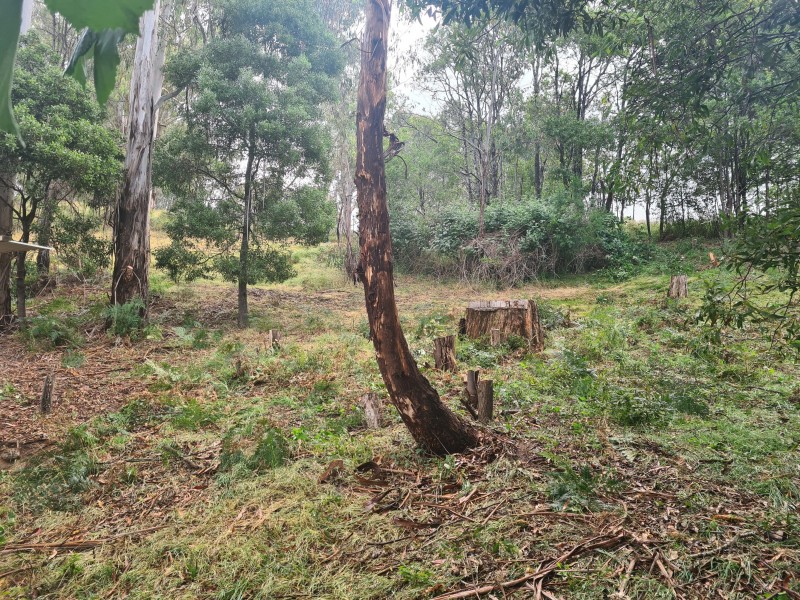 10 Mountain Rise, Merrijig VIC 3723