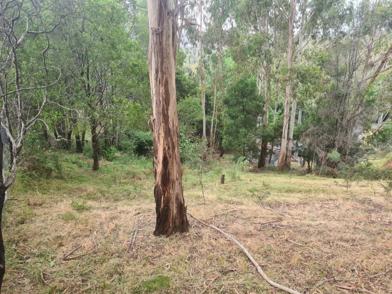 10 Mountain Rise, Merrijig VIC 3723