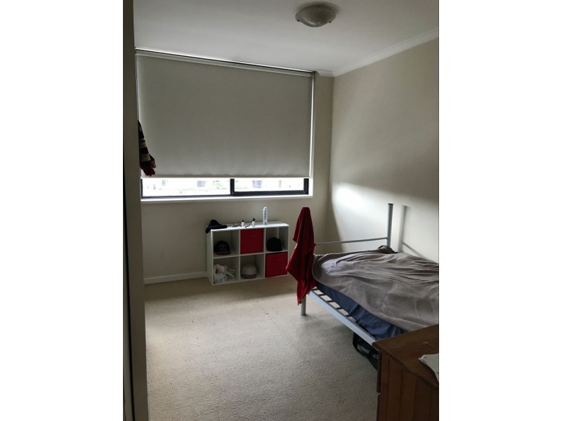 113/209 HARRIS STREET, Pyrmont NSW 2009