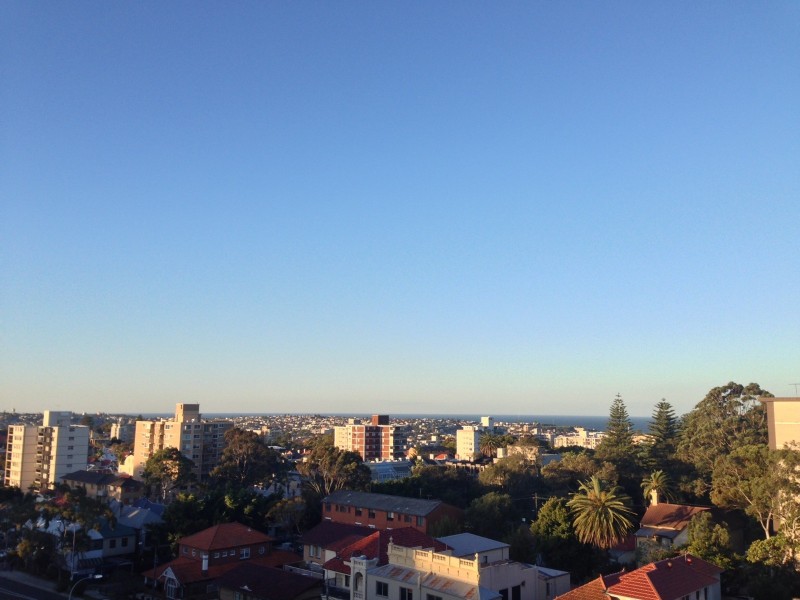 29/16 Botany Street, Bondi Junction NSW 2022