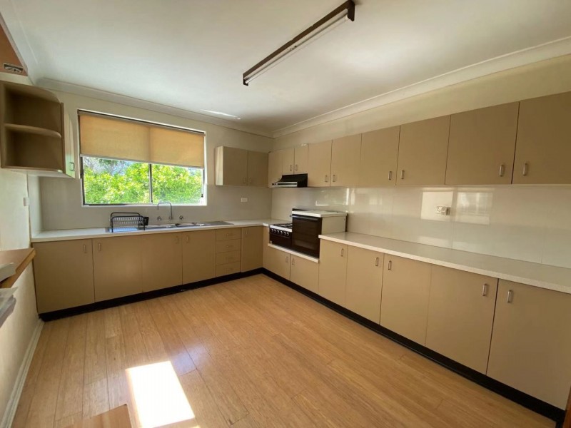 87 Edwin Street North, Croydon NSW 2132