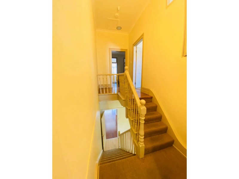 87 Edwin Street North, Croydon NSW 2132