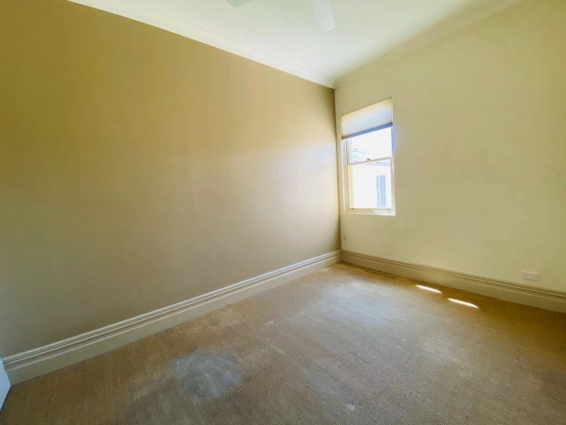 87 Edwin Street North, Croydon NSW 2132