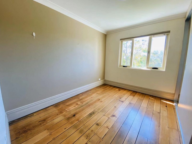 87 Edwin Street North, Croydon NSW 2132