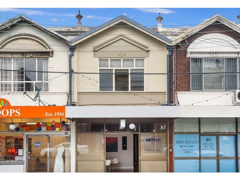 87 Edwin Street North, Croydon NSW 2132