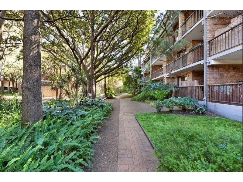 116/313 Harris Street, Pyrmont NSW 2009