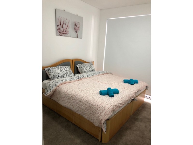 302/31-35 Smallwood Ave, Homebush NSW 2140