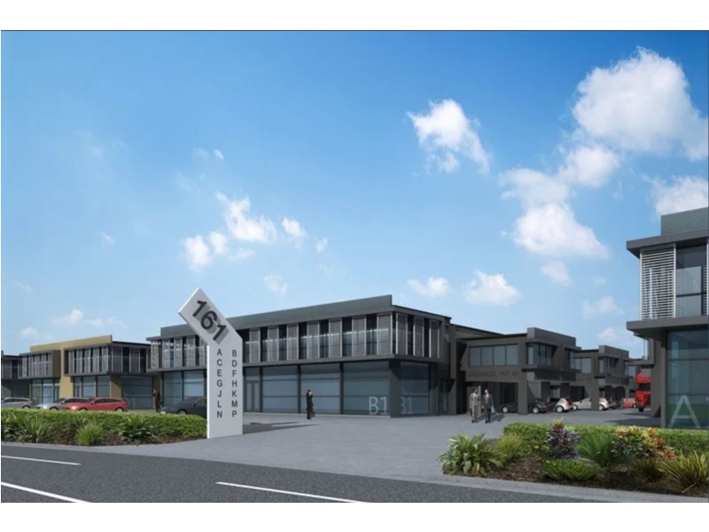 161 Arthur Street, Homebush West NSW 2140