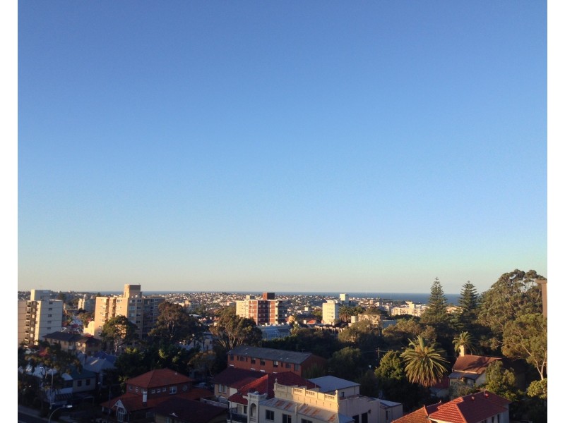 29/16 Botany Road, Bondi Junction NSW 2022