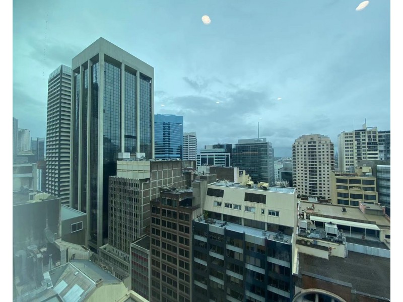 1601/38 York Street, Sydney NSW 2000