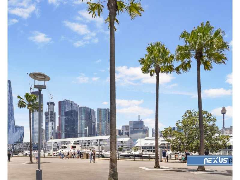 shop 2/42-44 Harris Street, Pyrmont NSW 2009