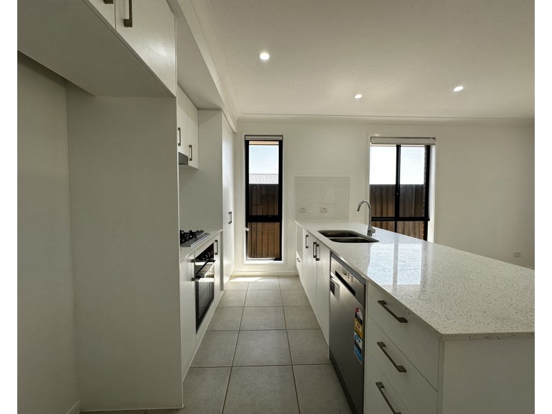 41 Melton Circuit, Gregory Hills NSW 2557