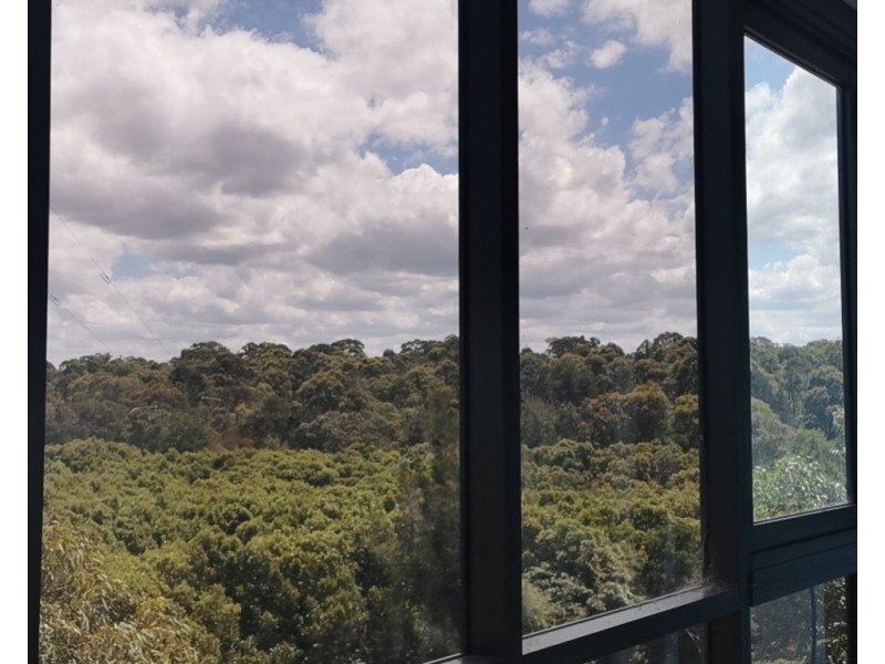 9066/7 Bennelong Parkway, Wentworth Point NSW 2127