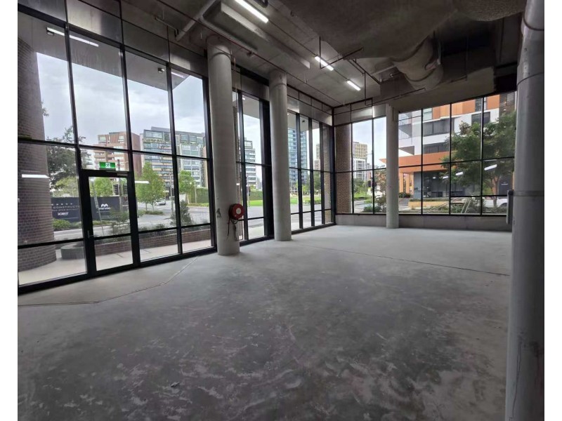 lot 6/13 Geddes Avenue, Zetland NSW 2017