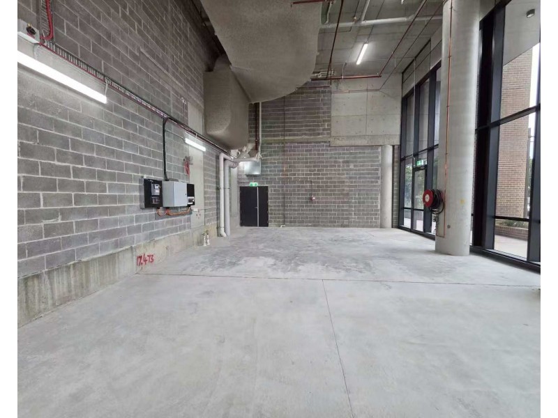 lot 6/13 Geddes Avenue, Zetland NSW 2017