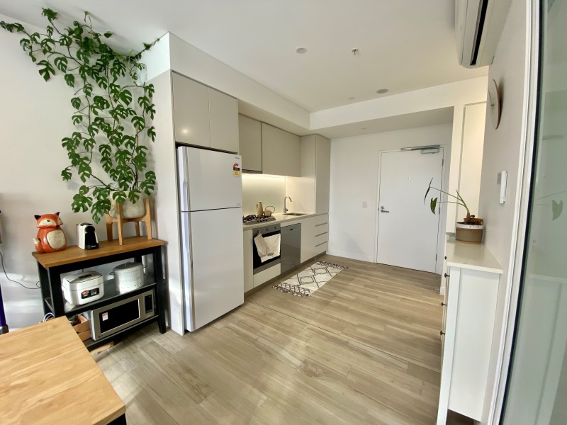 309/17 Chisholm Street, Wolli Creek NSW 2205