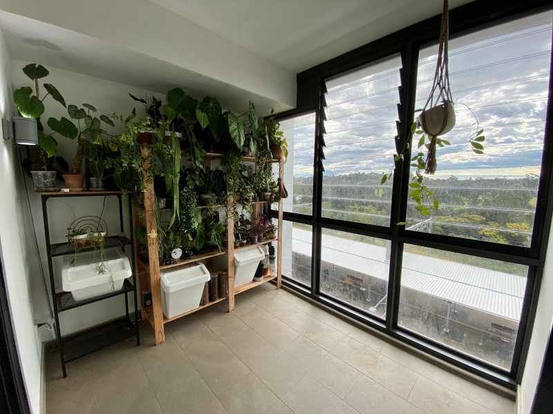 309/17 Chisholm Street, Wolli Creek NSW 2205