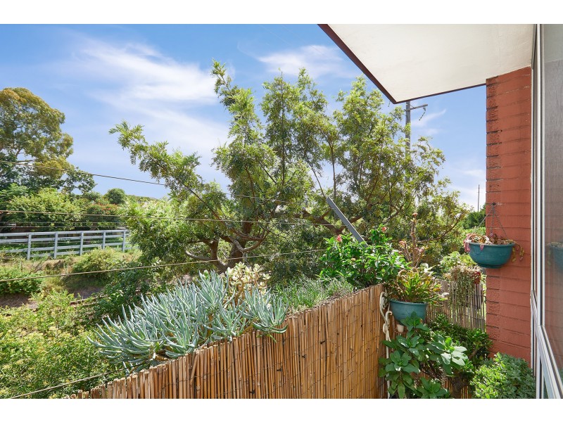 5/62 Arthur Street, Marrickville NSW 2204