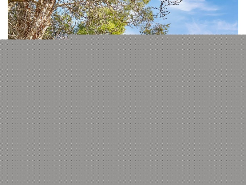 24A Warren Road, Marrickville NSW 2204