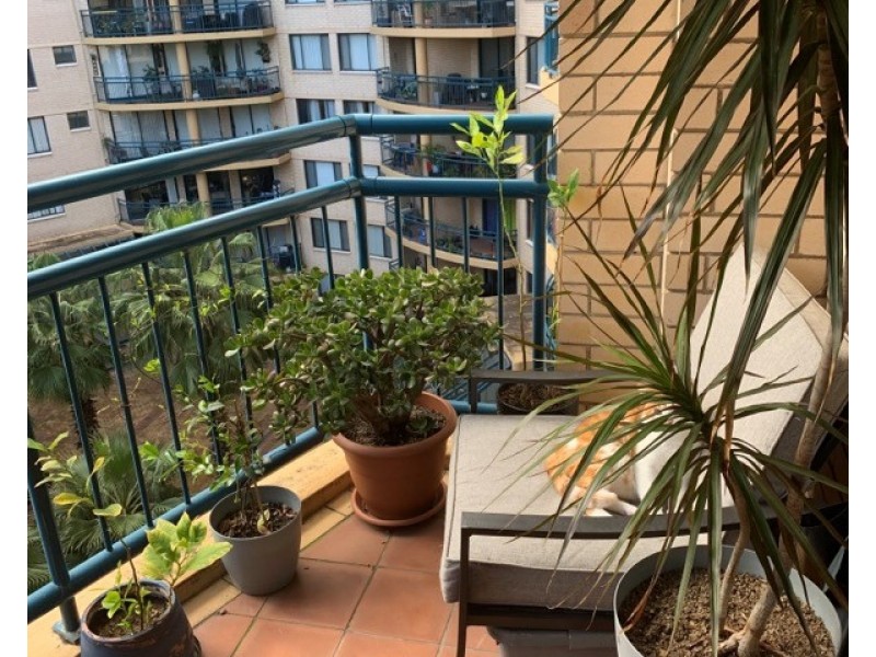 77/120 Saunders Street, Pyrmont NSW 2009