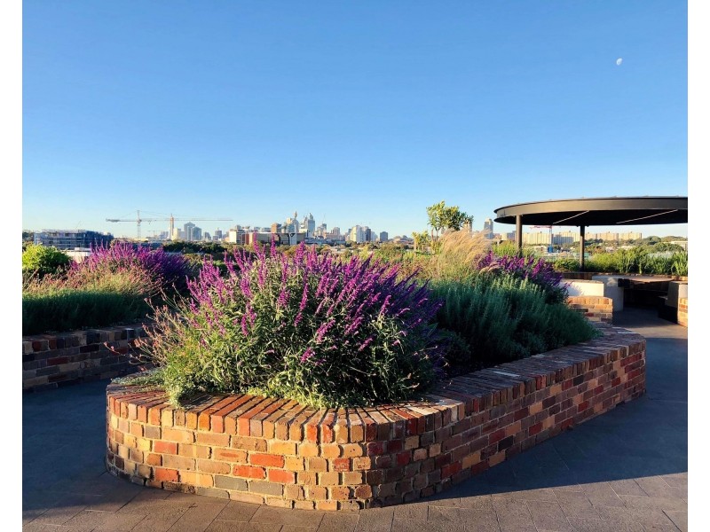 515/18 Huntley Street, Alexandria NSW 2015