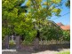 2 Ivanhoe Street, Croydon NSW 2132