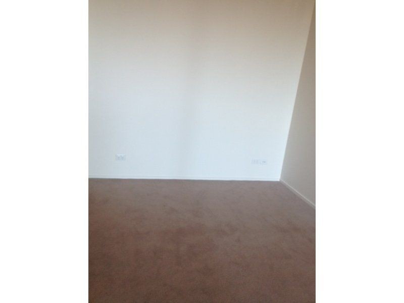 2402.1/3 Carlton Street, Chippendale NSW 2008