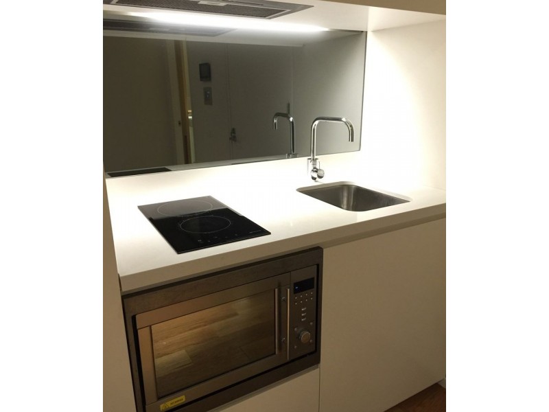 2402.1/3 Carlton Street, Chippendale NSW 2008