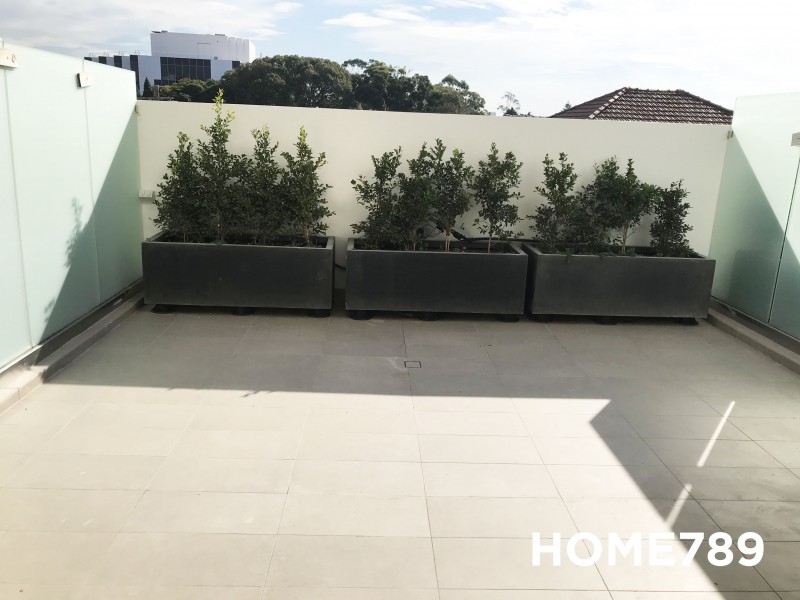 U108/1 Markham Place, Ashfield NSW 2131