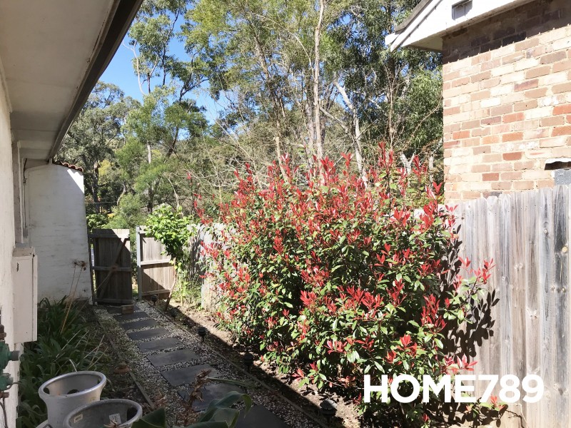 49 Wareemba Avenue, Thornleigh NSW 2120