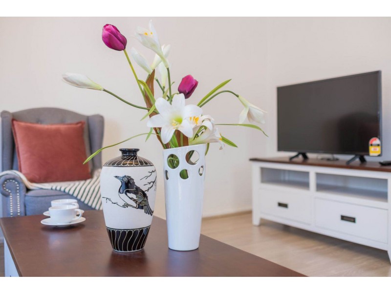 62 cowper Street, Glebe NSW 2037