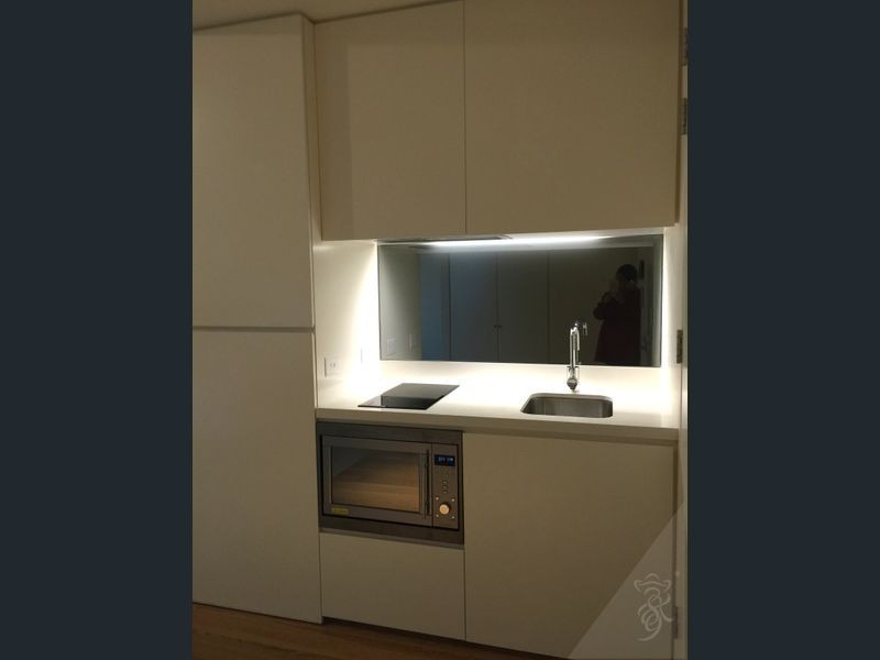 2402/3 Carlton Street, Chippendale NSW 2008