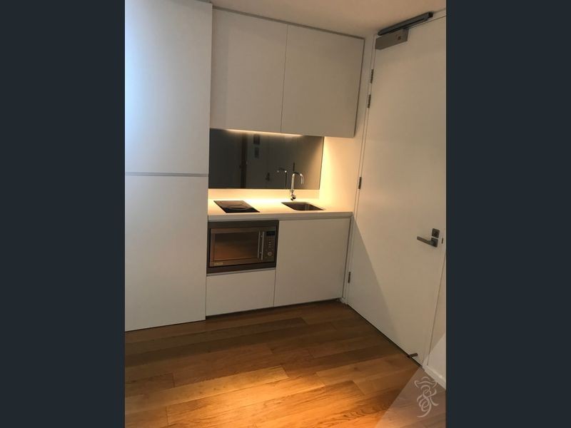 2402/3 Carlton Street, Chippendale NSW 2008