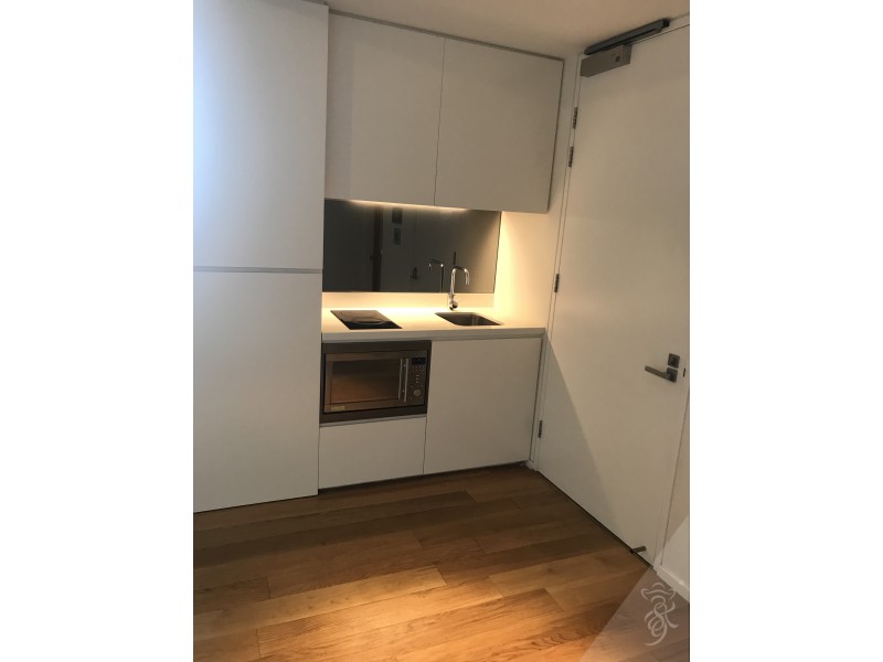 2402/3 Carlton Street, Chippendale NSW 2008