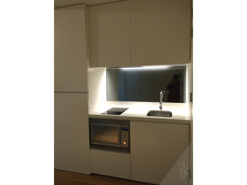 2402/3 Carlton Street, Chippendale NSW 2008