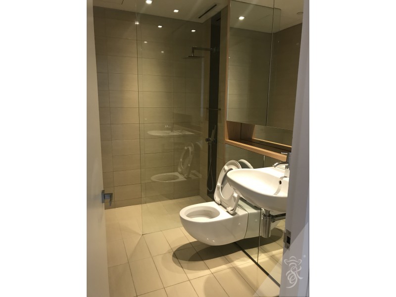 2402/3 Carlton Street, Chippendale NSW 2008