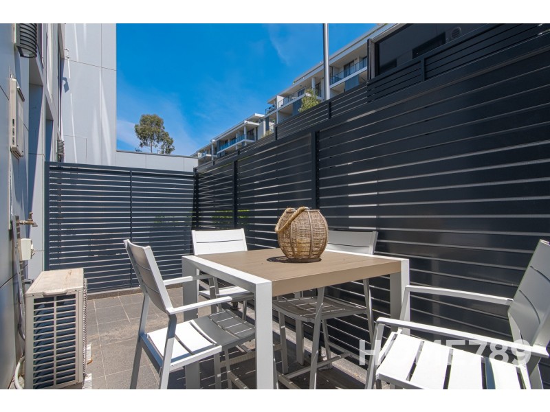 17/117 Bowden  Street, Meadowbank NSW 2114