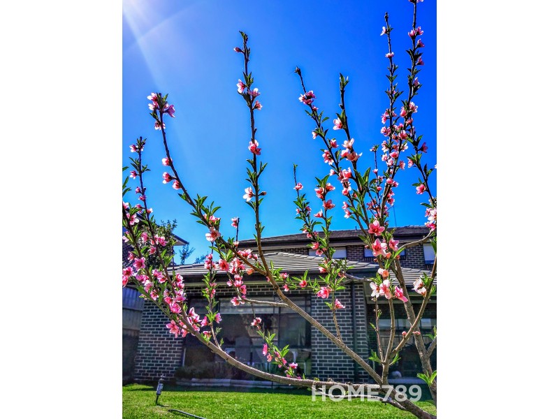 76 University Drive, Campbelltown NSW 2560