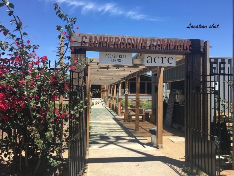 116 Mallett Street, Camperdown NSW 2050