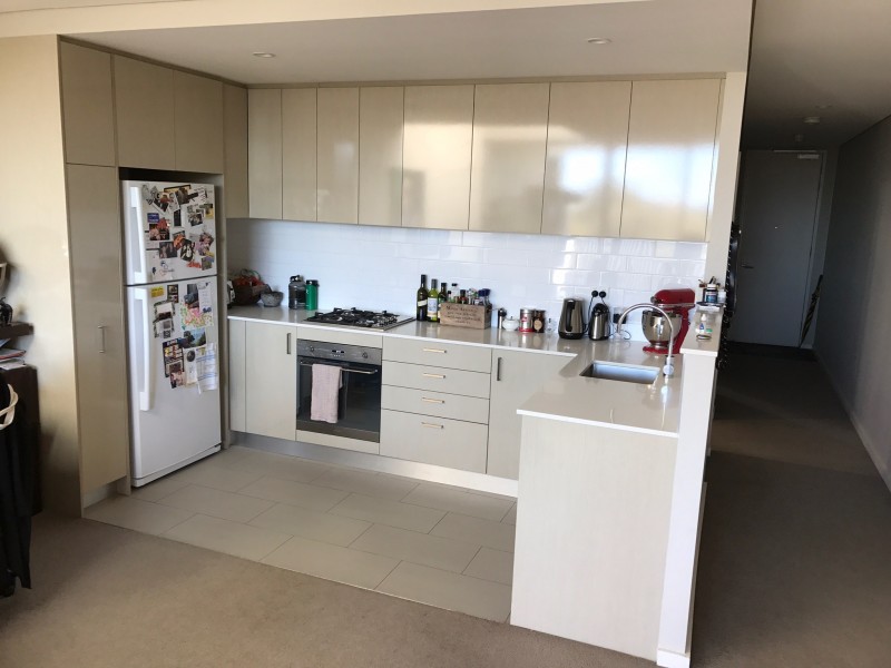 17/53 Barwon Park Road, St Peters NSW 2044