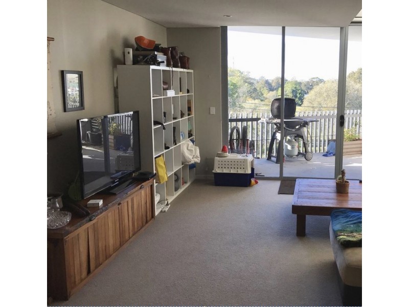 17/53 Barwon Park Road, St Peters NSW 2044