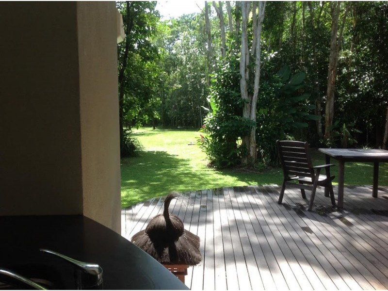 2574 Rossville Bloomfield Road, Bloomfield QLD 4895