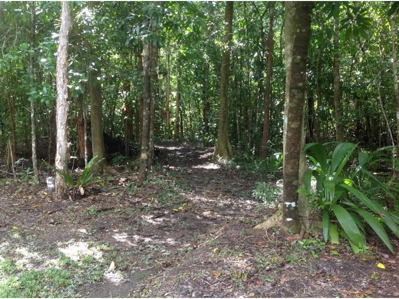 2574 Rossville Bloomfield Road, Bloomfield QLD 4895