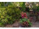 1/65 Sims Esplanade, Yorkeys Knob QLD 4878