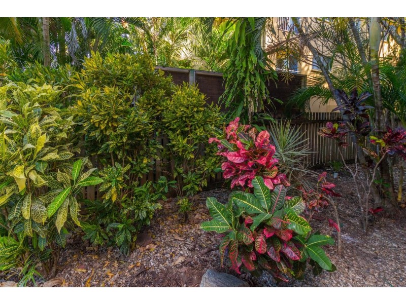 1/65 Sims Esplanade, Yorkeys Knob QLD 4878