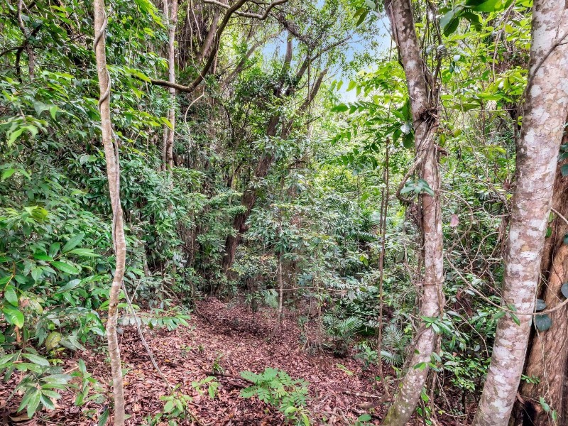 7 WATTLE CLOSE, Kuranda QLD 4881