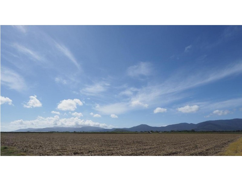 122 Littles Road, Gordonvale QLD 4865