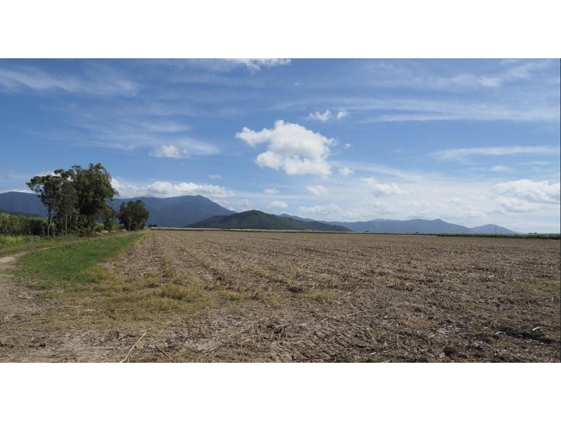 122 Littles Road, Gordonvale QLD 4865