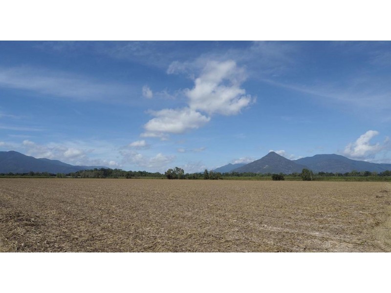 122 Littles Road, Gordonvale QLD 4865