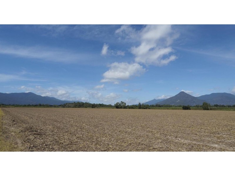 122 Littles Road, Gordonvale QLD 4865